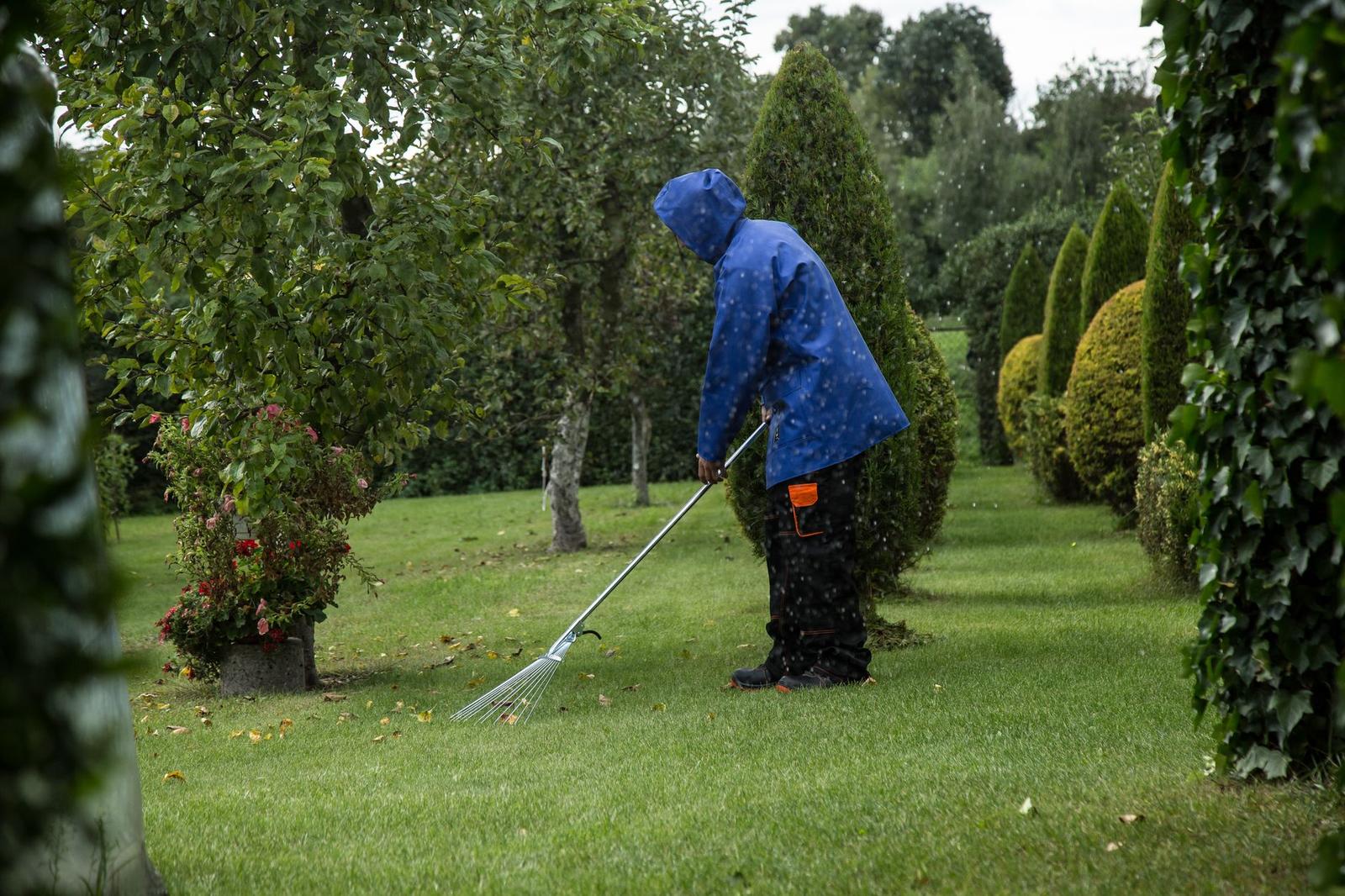 Seasonal Cleanups
