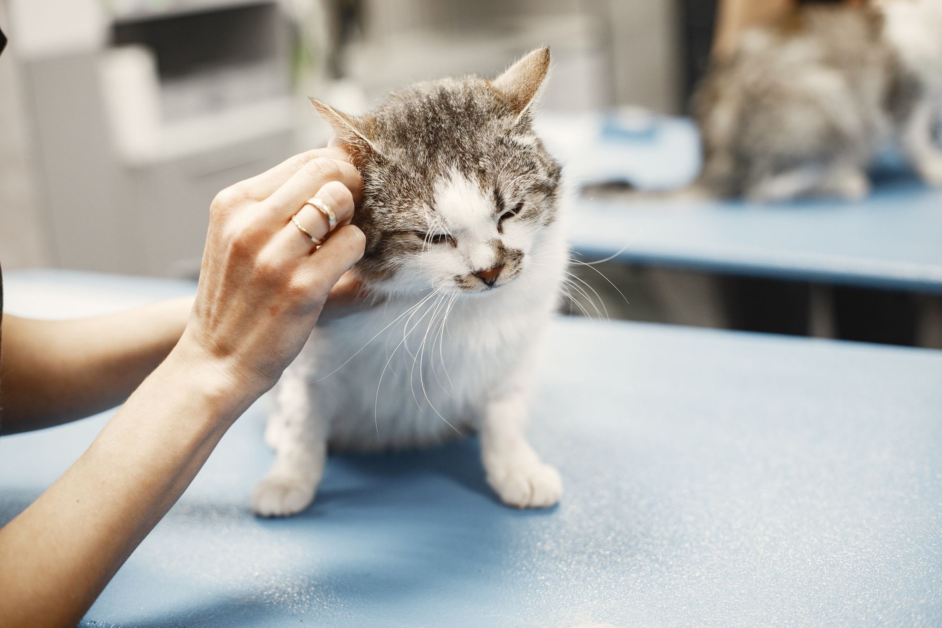 A gentle check-up on the exam table